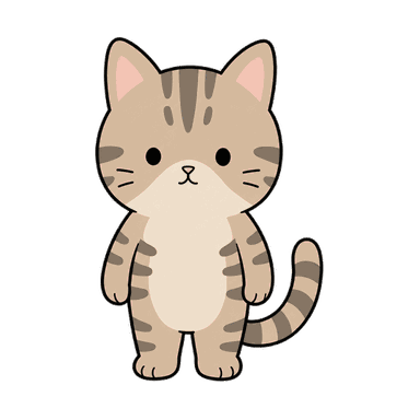 見た目のねこ